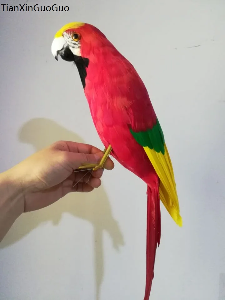 пяна и пера червен папагал голям 43 см моделиране папагал птица е труден модел подпори. украса за дома и градината Коледен подарък w0647